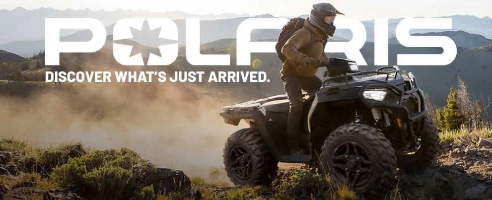 Discover what’s just arrived.